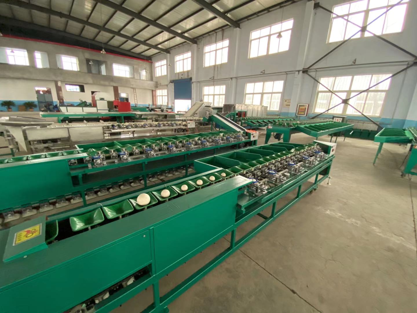 electronic apple weight sorting machine