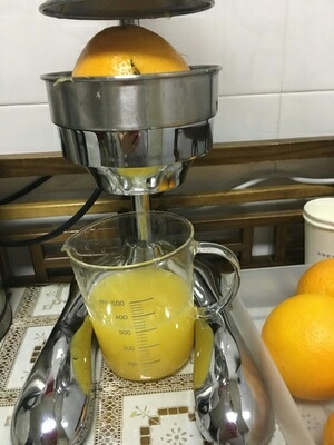 manual orange juicer 12