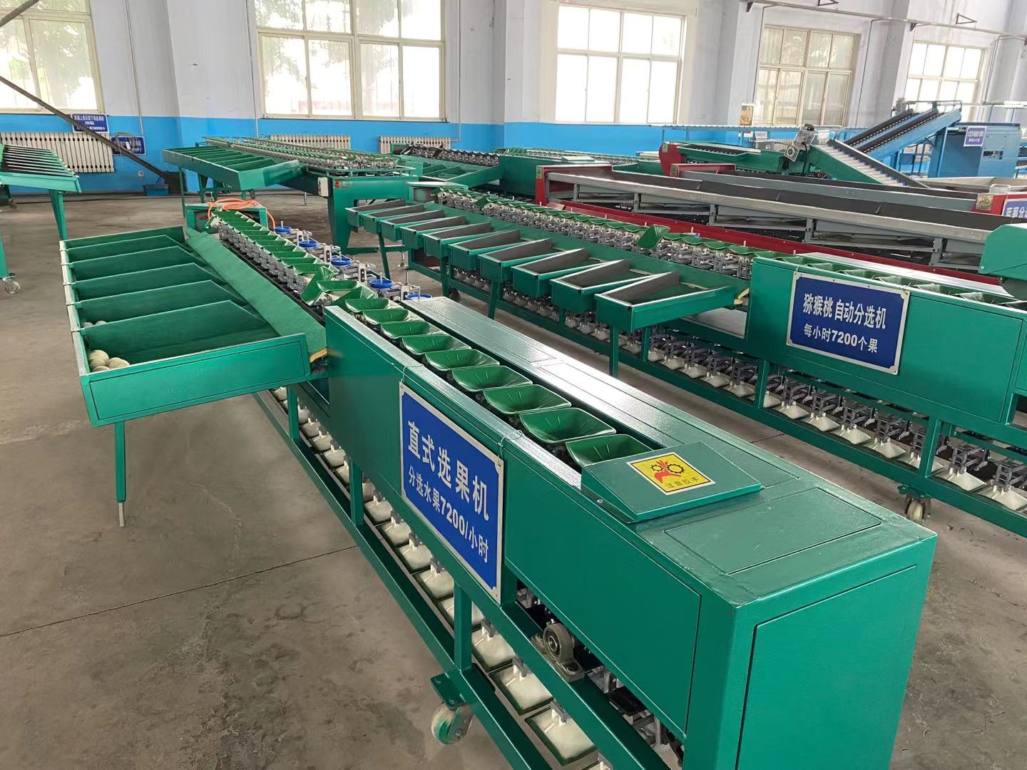 electronic apple weight sorting machine