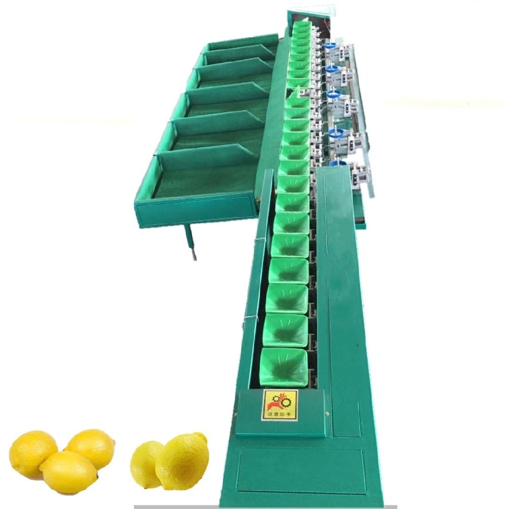 Eelectronic fruit apple weight sorting machine