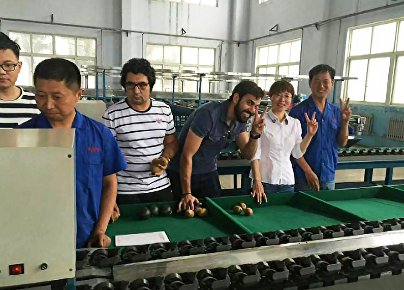 Brazilian customer acceptance of dragon fruit sorting machine