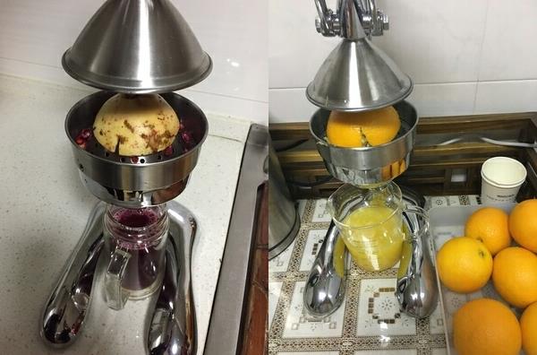 Manual orange juicer machine sale to Korea