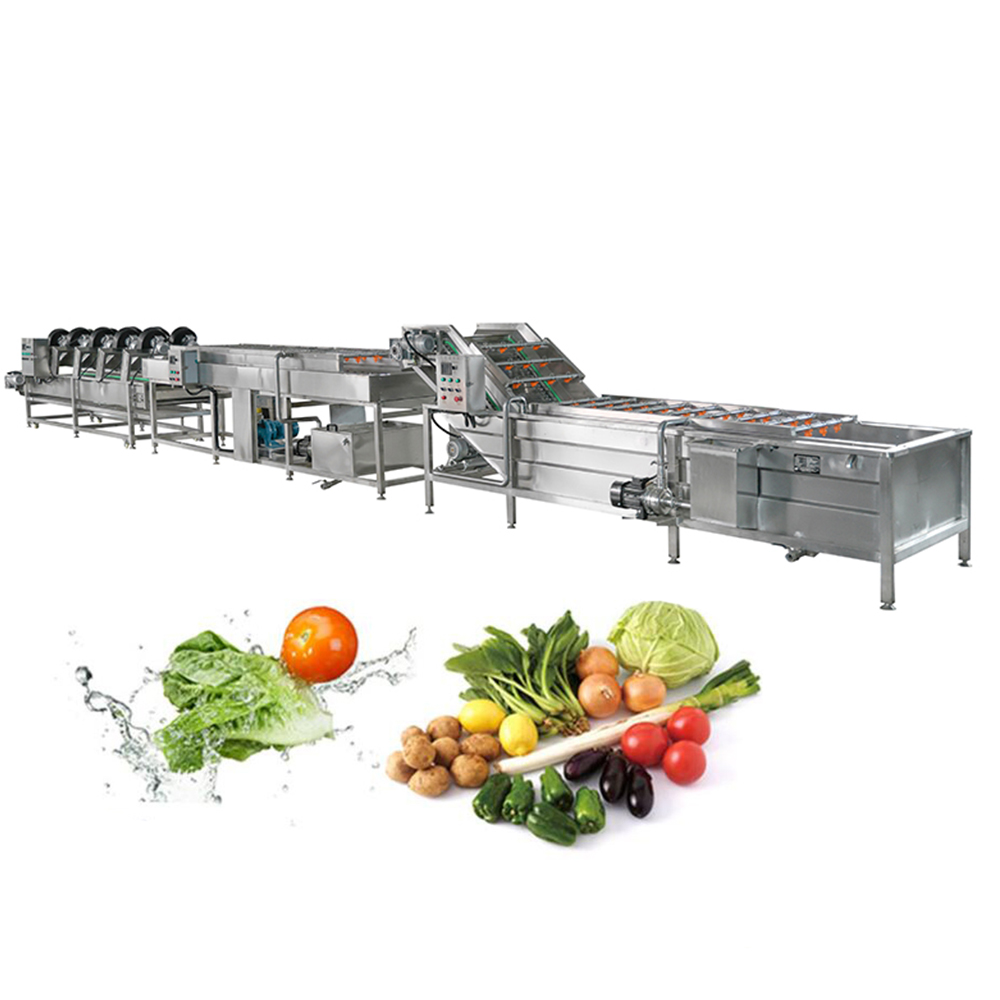 Fruit and vegetable processing machinery exported to the United States