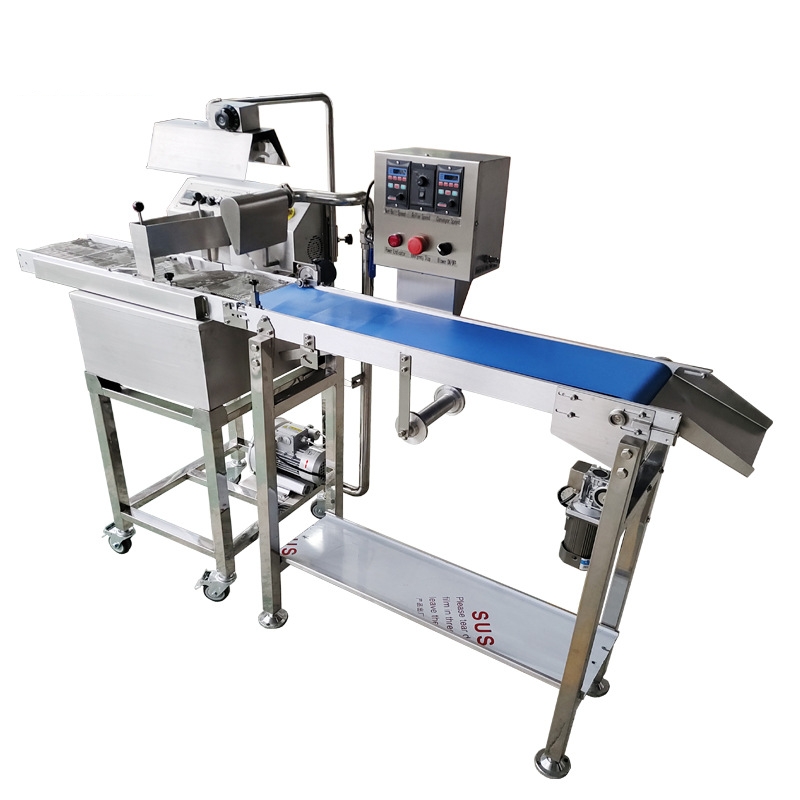 Chocolate depositing coating machine