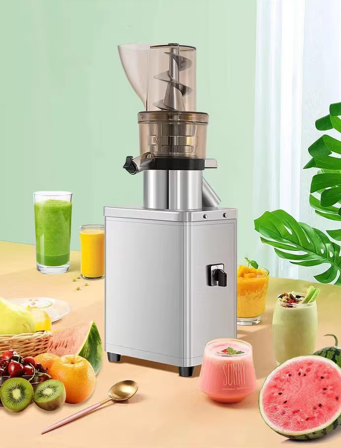 Commercial fruit juicer machine Juice Blender Export to America