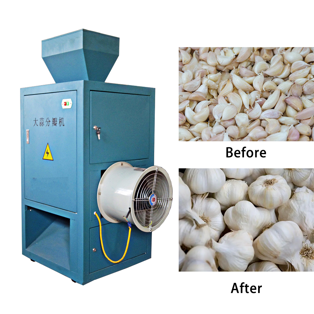 1000KG Garlic Separating Machine