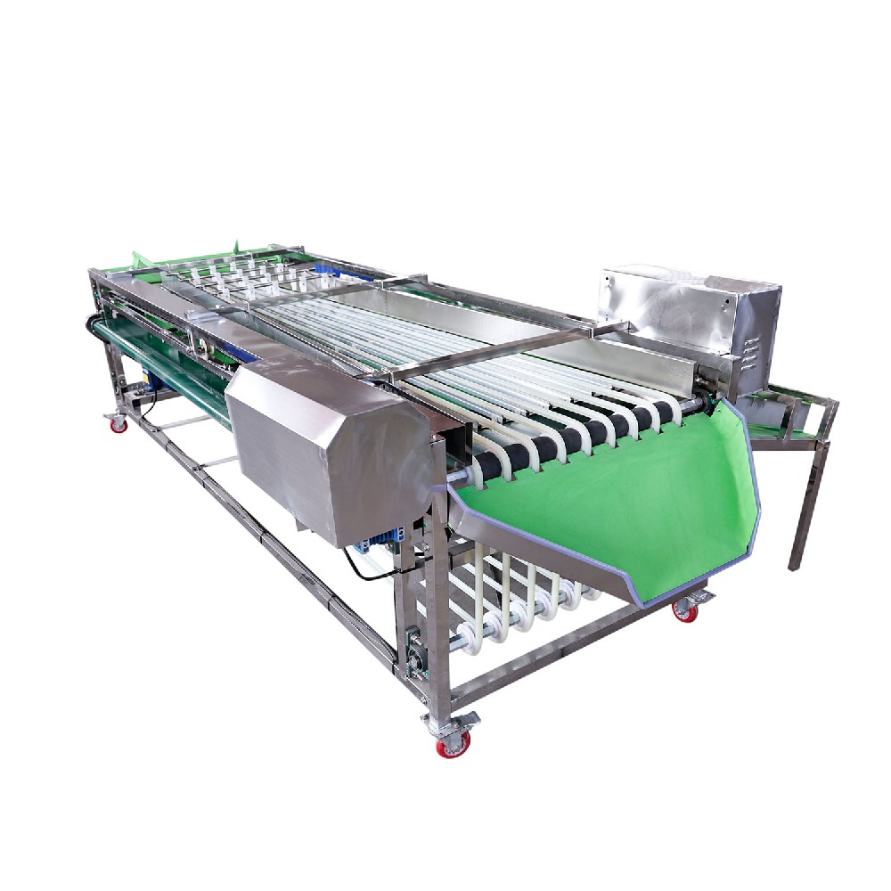 Multifunctional Pathway Fruit Size Grading Machine