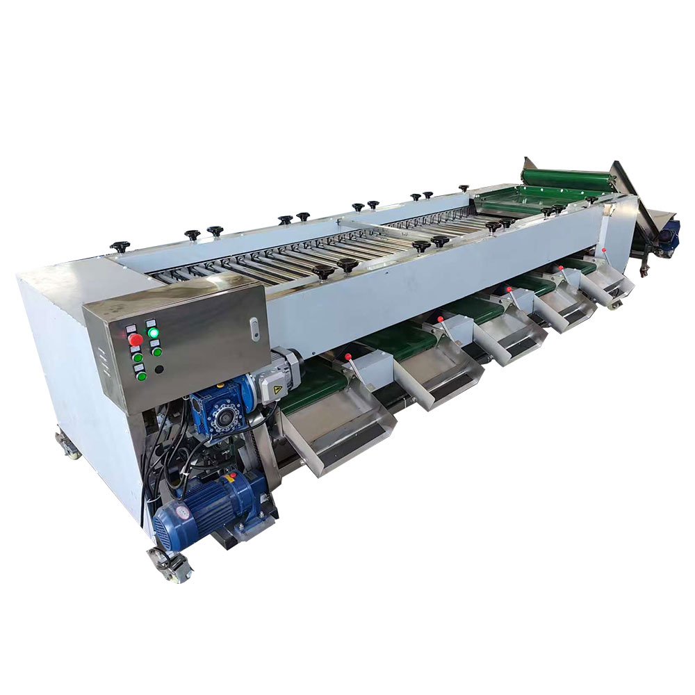 Automatic Roller Type Fruit Sorting Machine