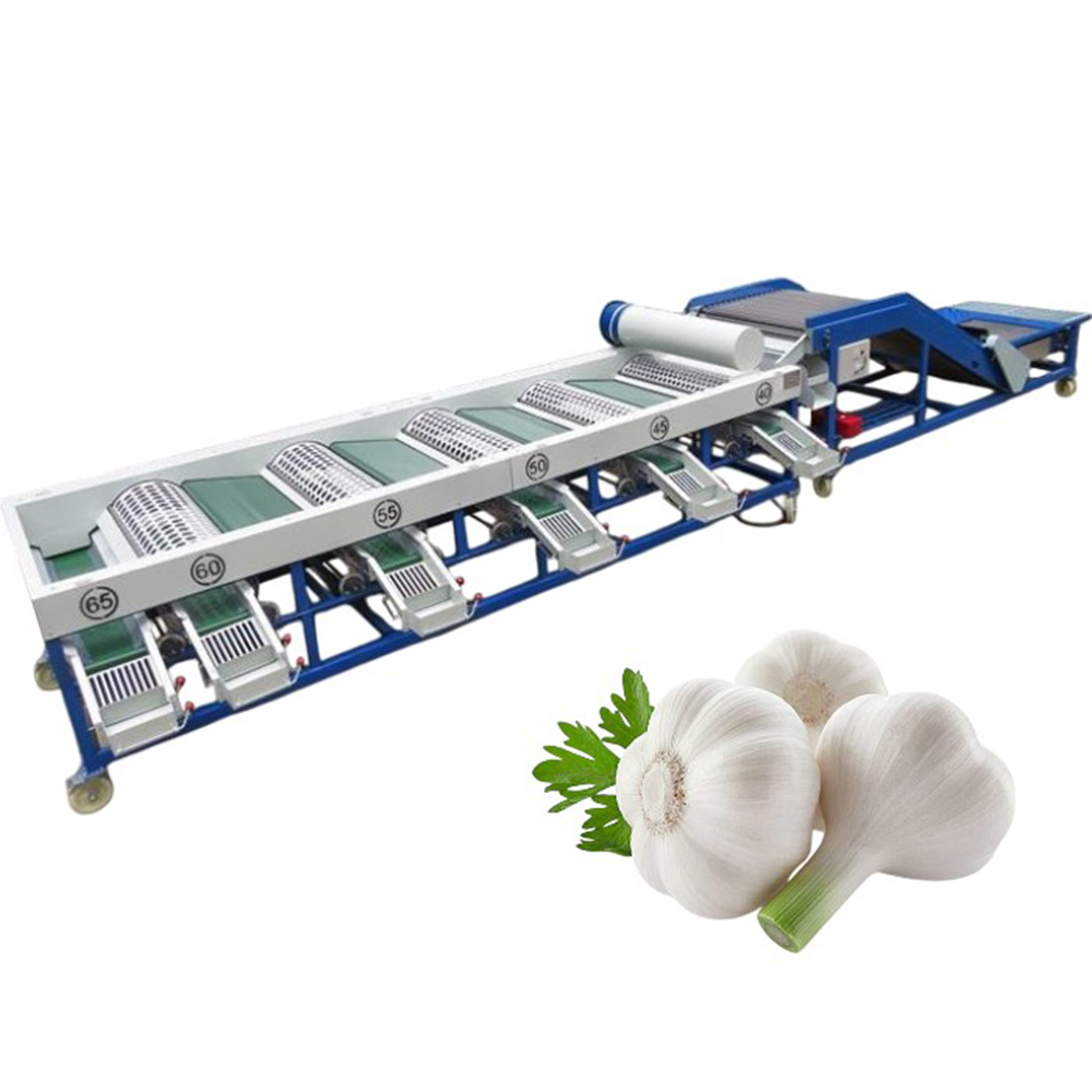Garlic grading machine