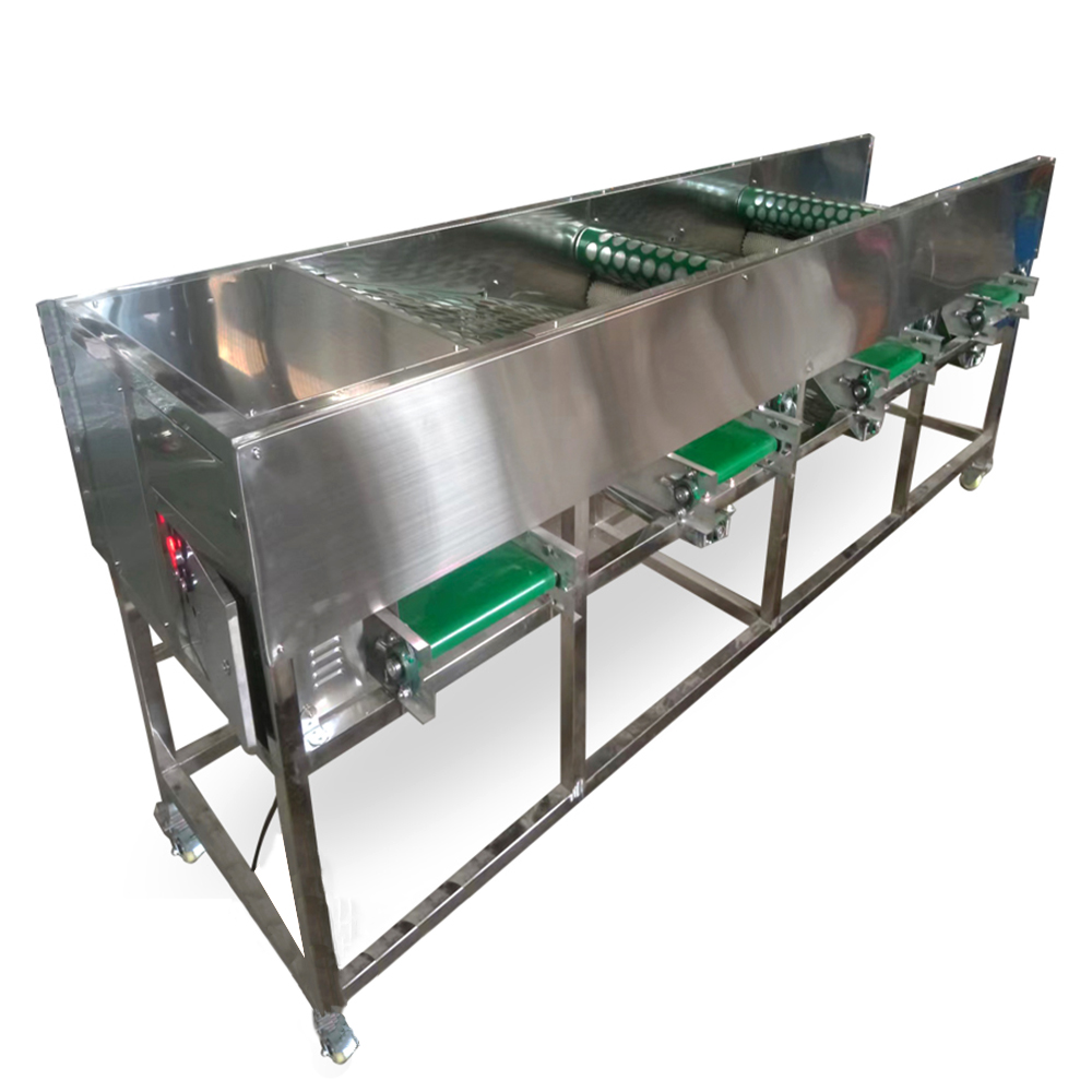 Hole Belt Type Garlic Size Grading Machine