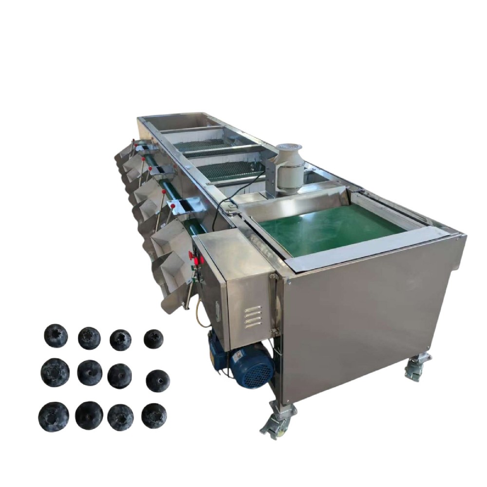 Blueberry sorting machine