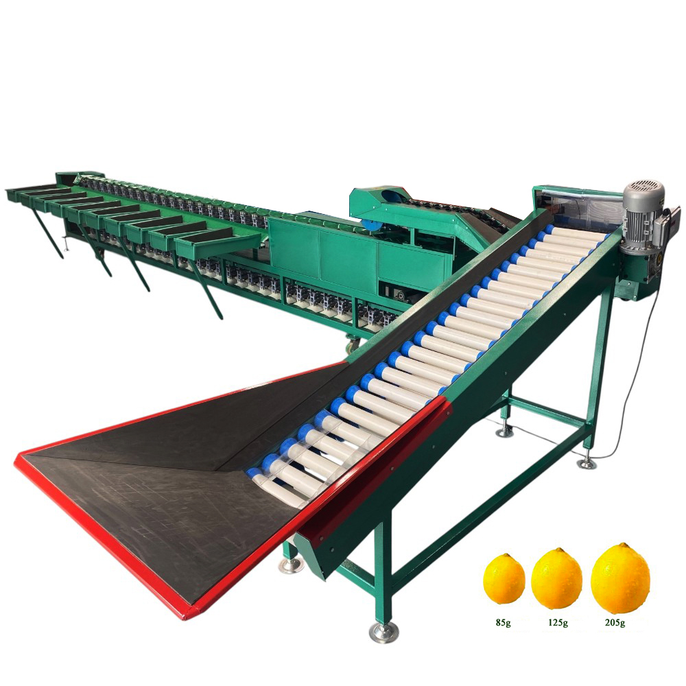 Dragon Fruit Weight Sorting Machine